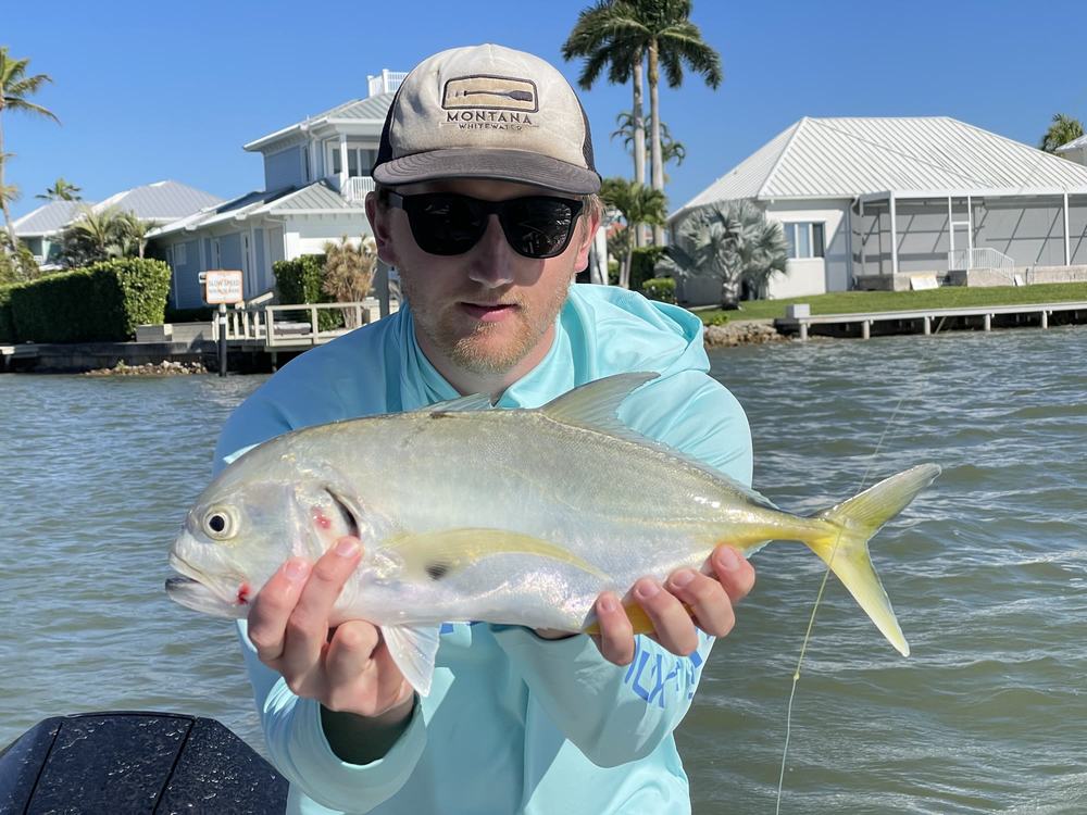 A person on a boat holds a silver jack crevalle, with waterfront houses and palm trees behind.